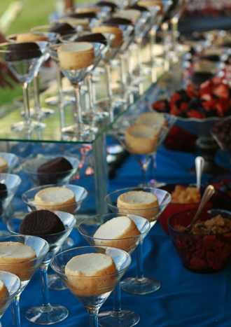 Cheesecake and chocolate cake bar with toppings Who needs a wedding cake